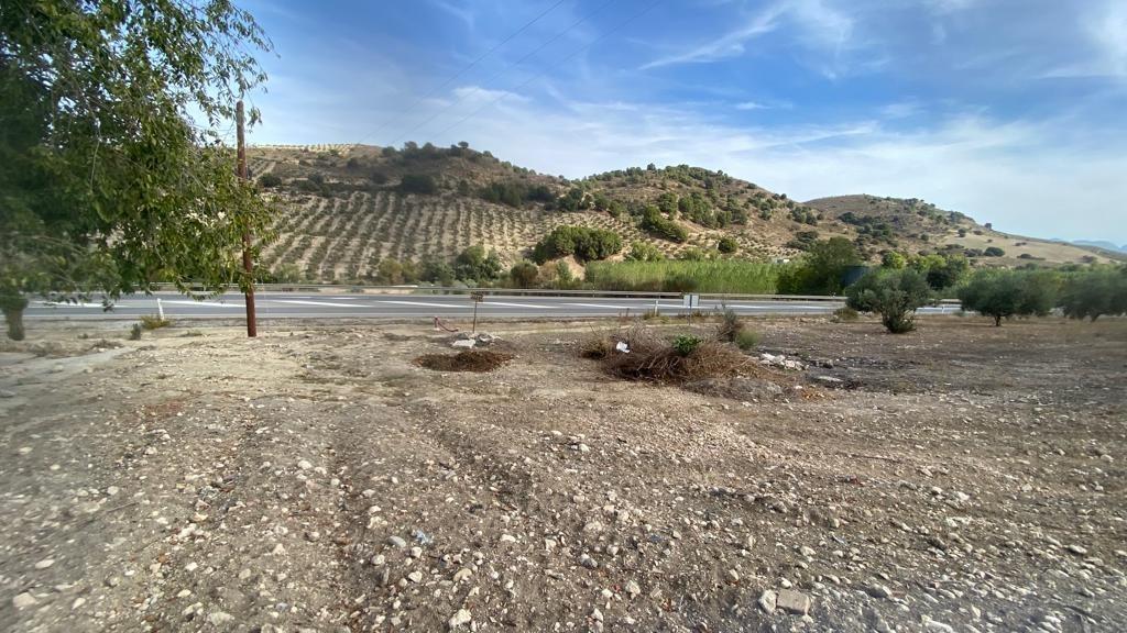 Terreno urbano