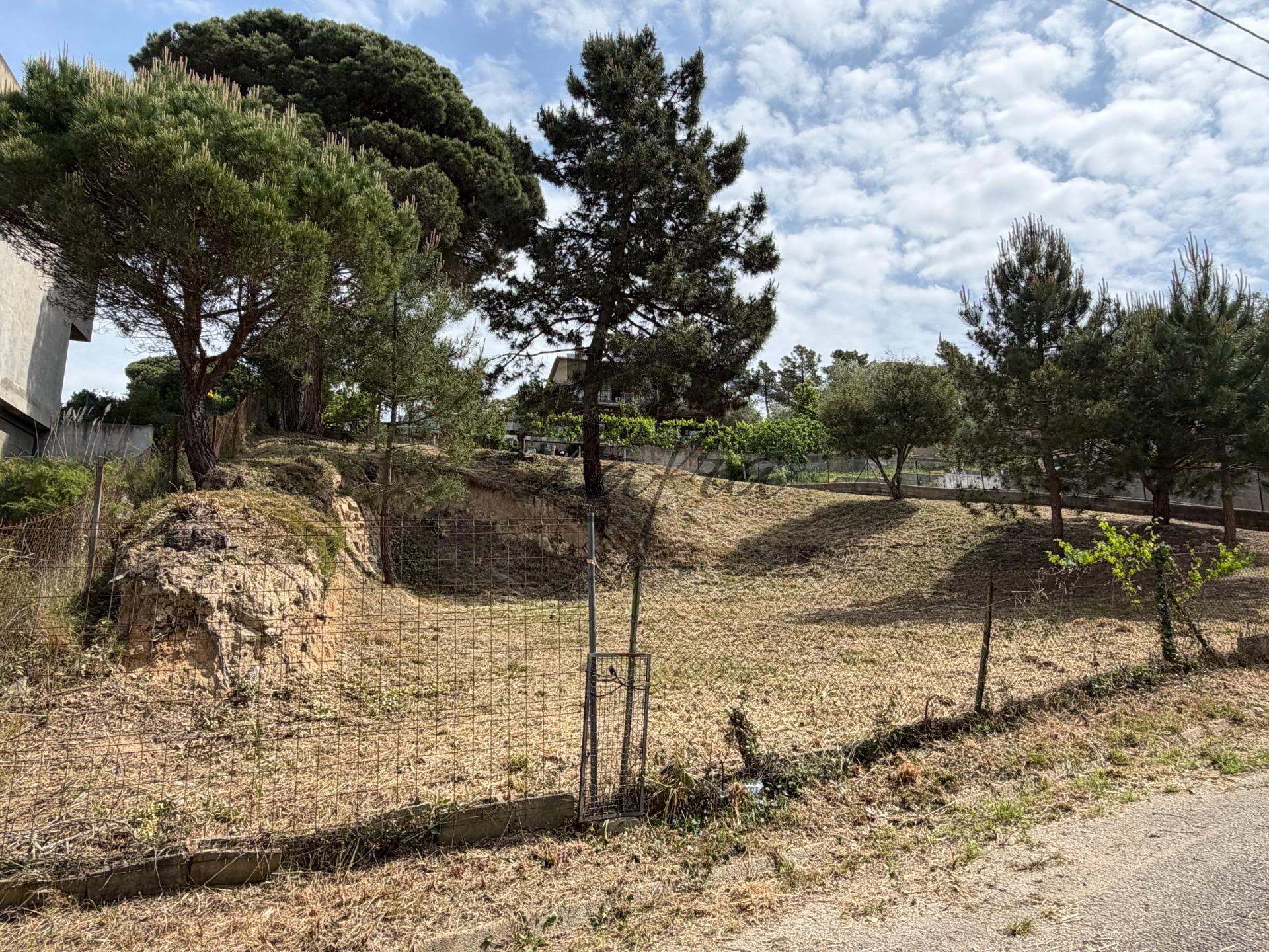 Parcela